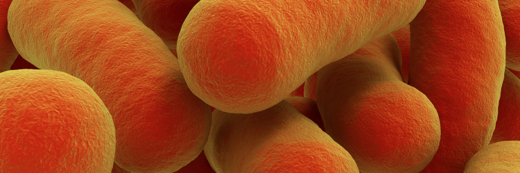 BioPrepWatch1's profile banner image