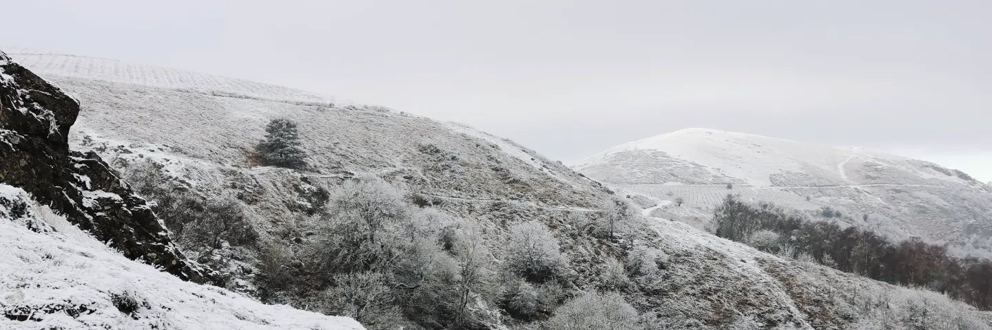 Kate Ashbrook banner