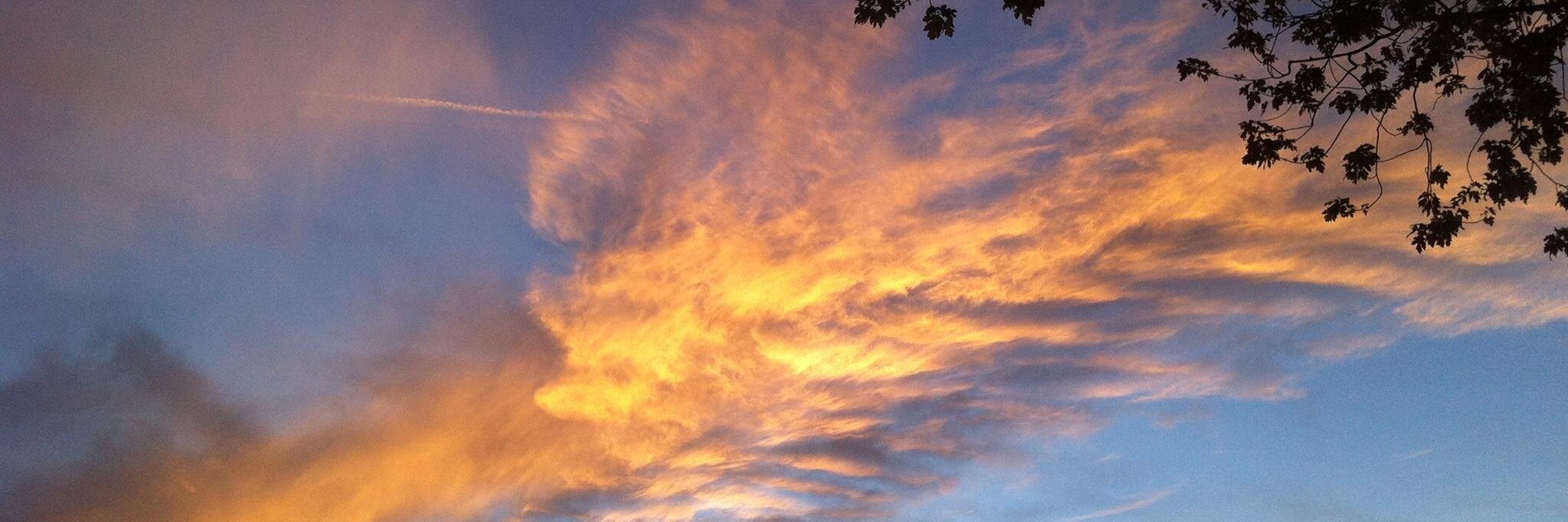 Michael Simonson banner