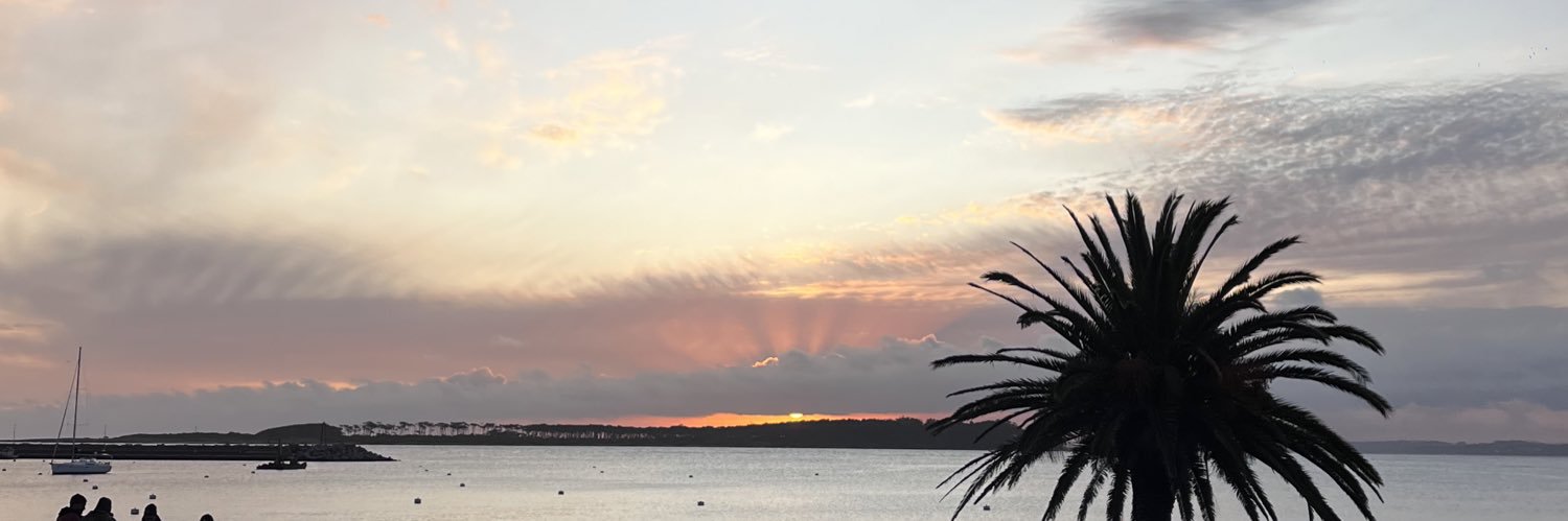 CaroSil_'s profile banner image