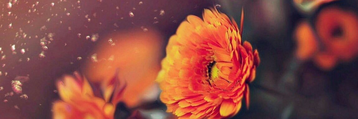 Hguuoo's profile banner image