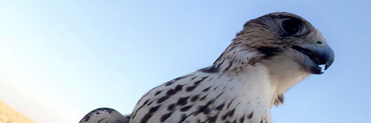 rdz7646's profile banner image