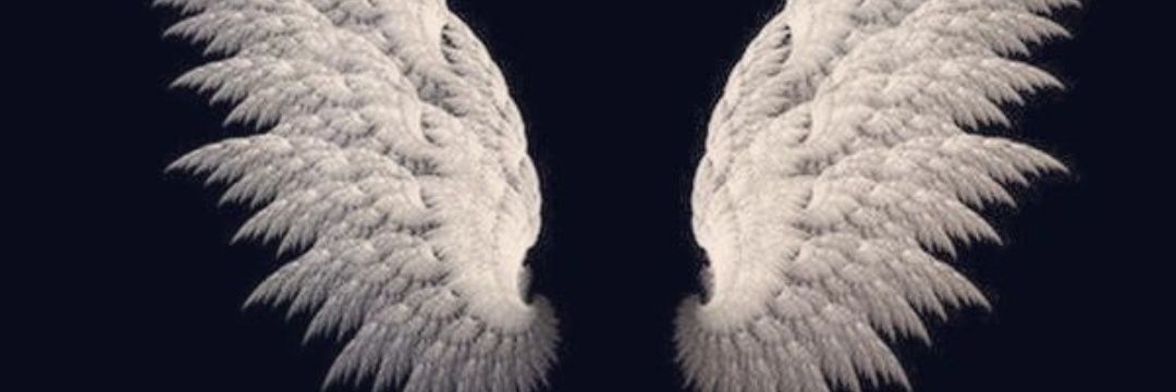 Tcglnr's profile banner image