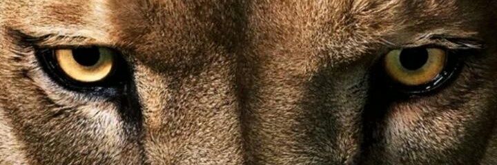 JP_173's profile banner image