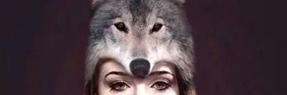 isa_gugi's profile banner image