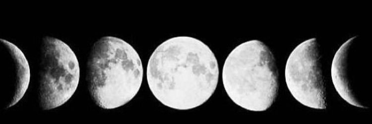 tnewby05's profile banner image
