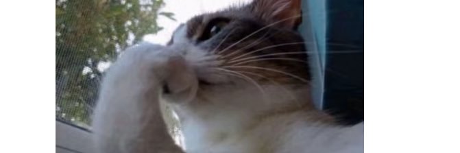 here to laugh m8 banner
