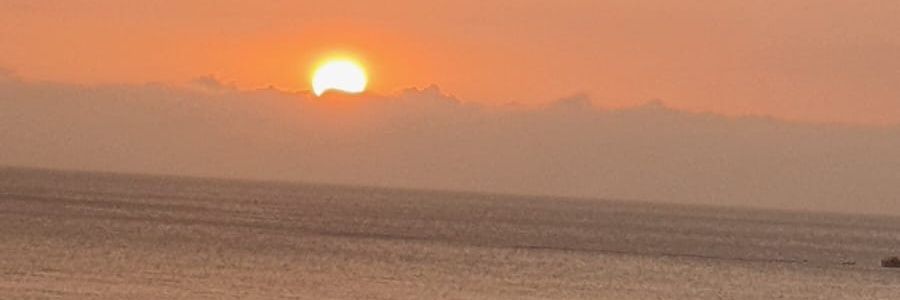 lacrigo1's profile banner image