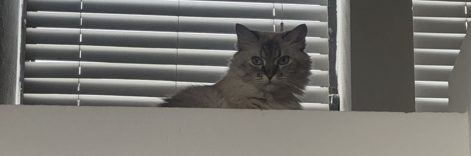 isabelrodrz's profile banner image