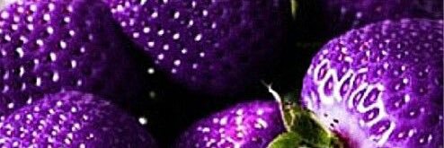Reddflavor's profile banner image