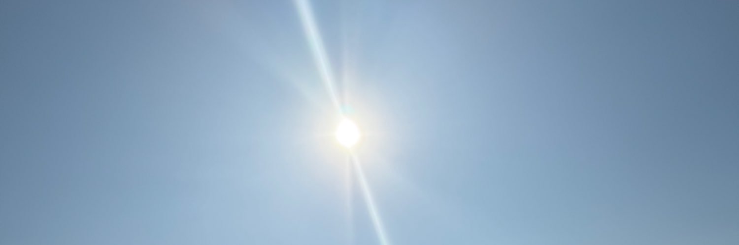 Laura Cristina Pinzon banner