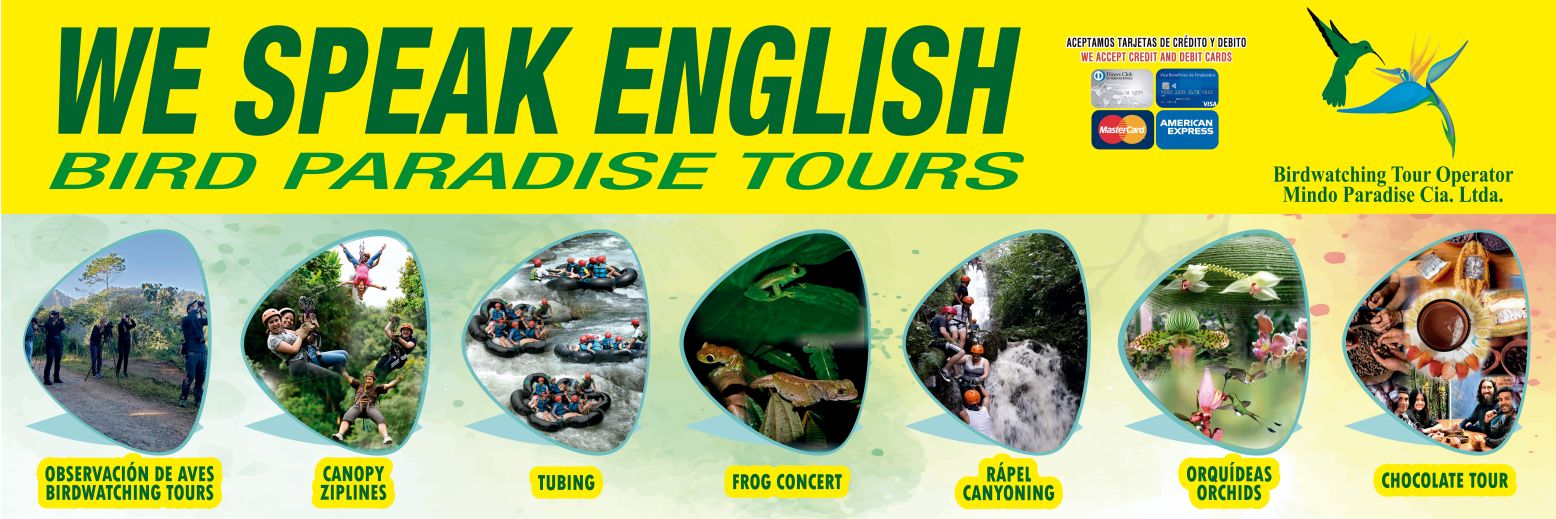 MindoBirdTours's profile banner image