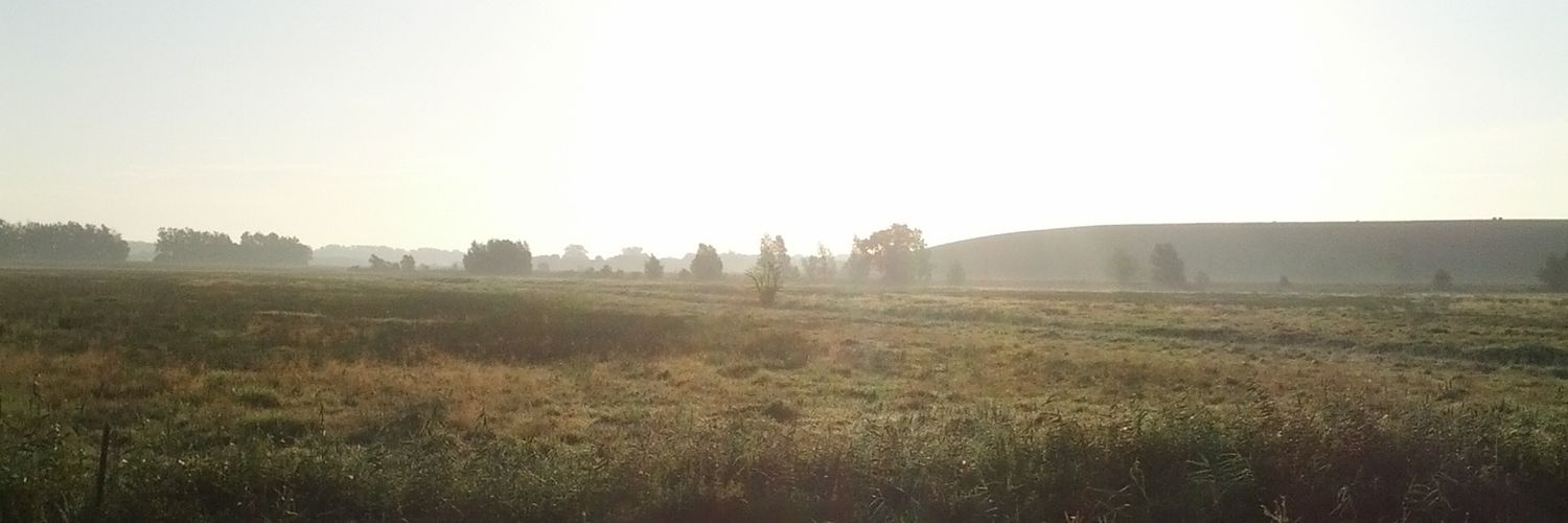 Rihaad8's profile banner image