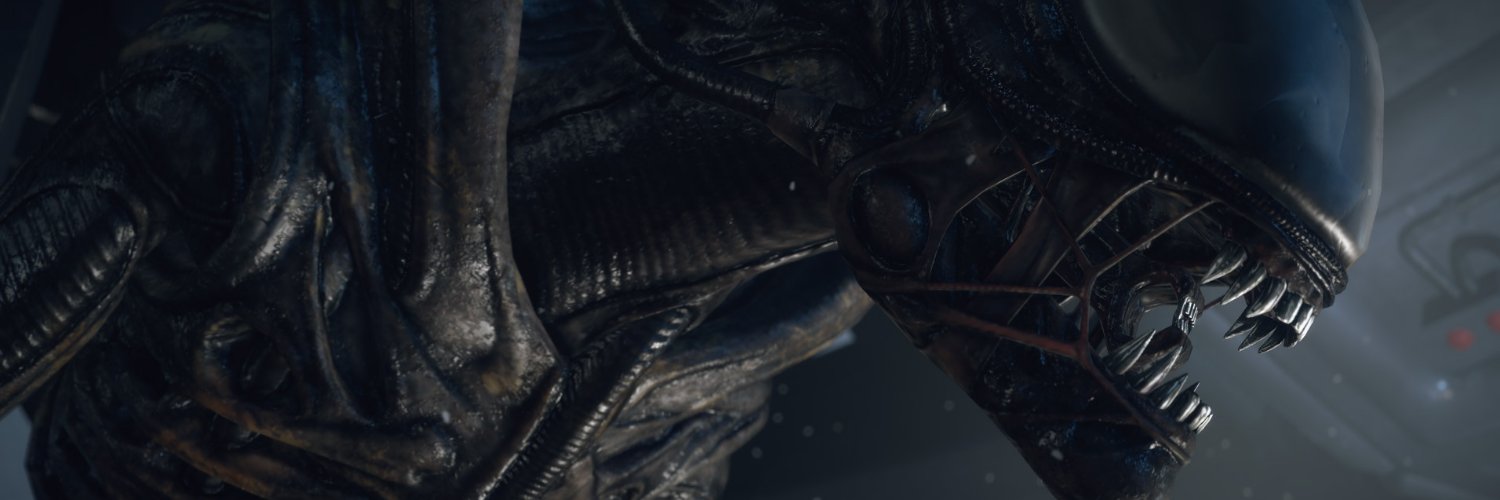 b_humanistic's profile banner image