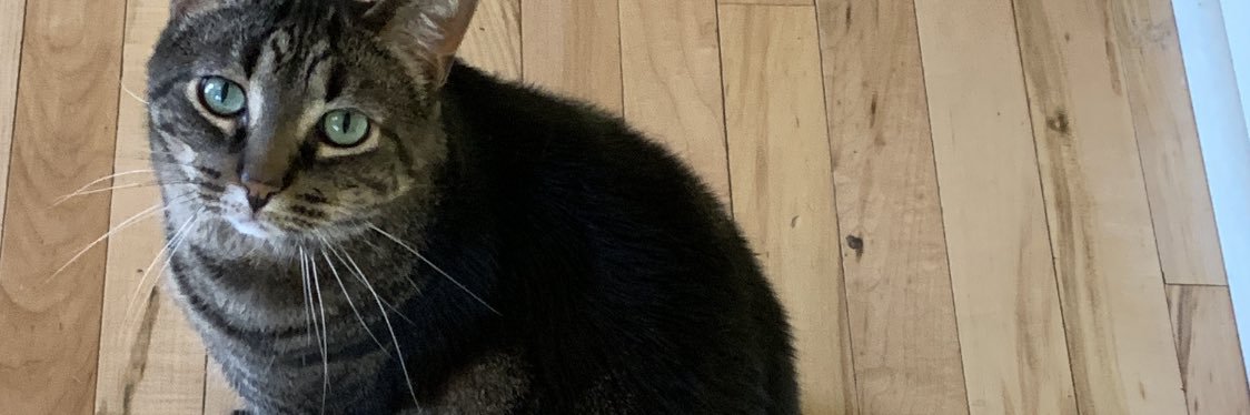 NickKlein6's profile banner image