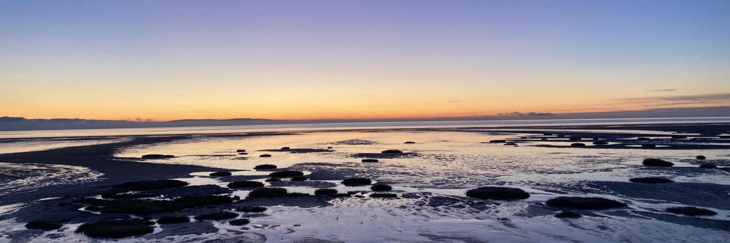 Dr Debbie Thackray banner