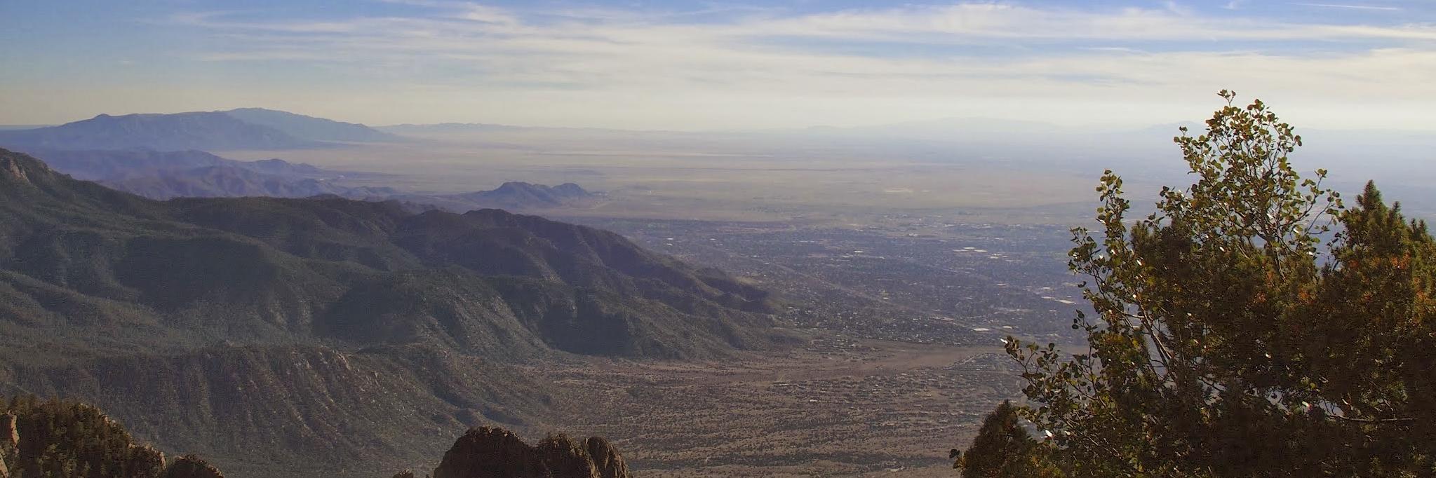 Harvey Brofman banner