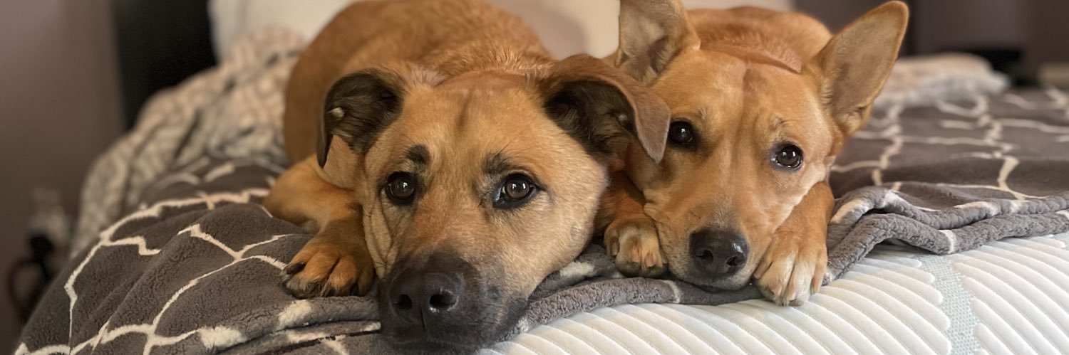 Lexi_Lou_'s profile banner image