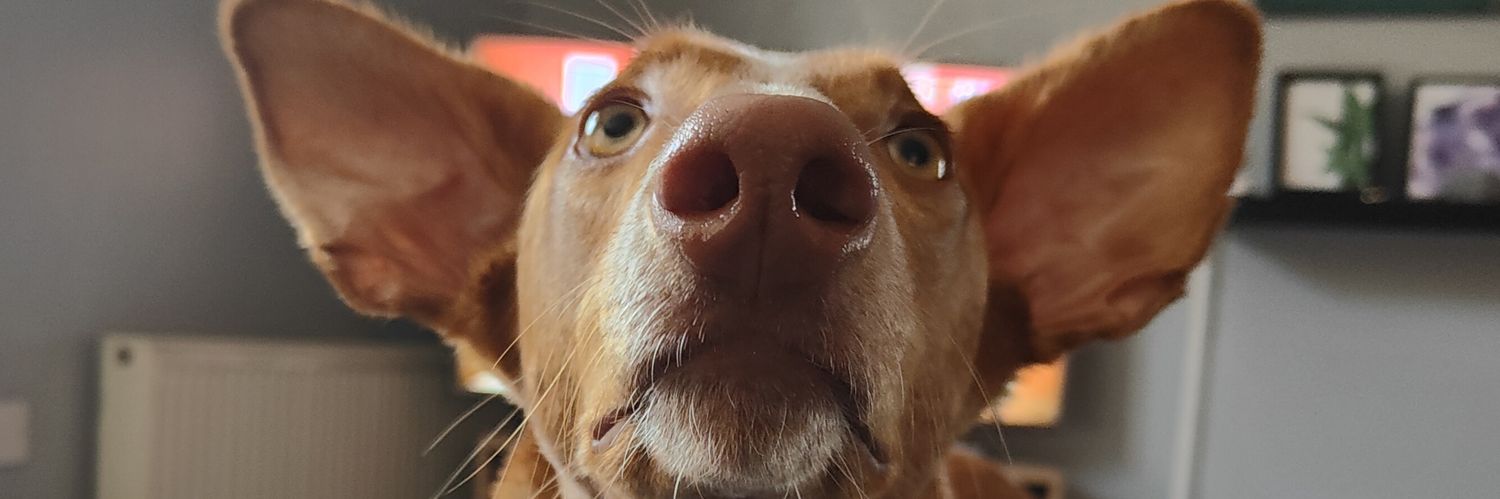 timxtei's profile banner image