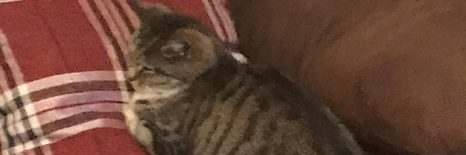 billreilly8's profile banner image