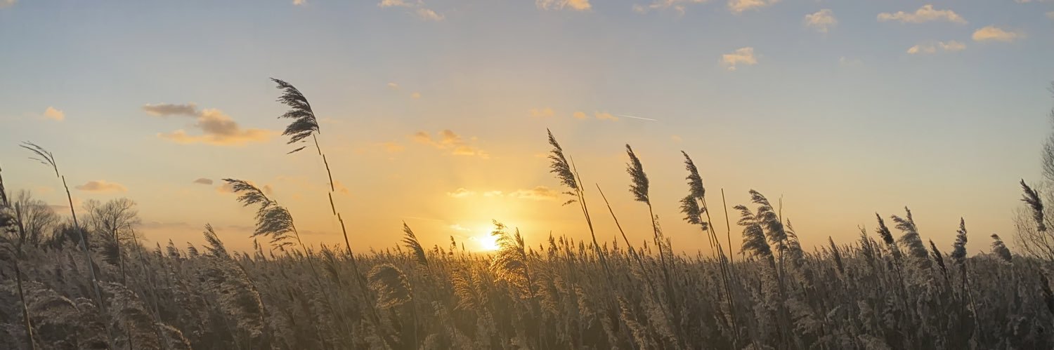 bethvivers's profile banner image