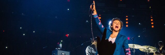 Anna Guglielmi banner