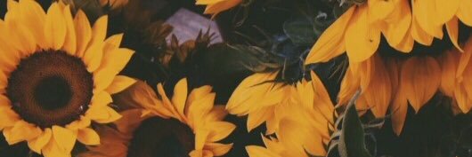 itsanathing's profile banner image