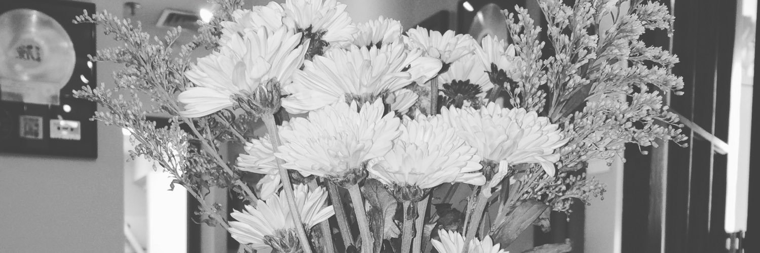 Anna Slimm banner