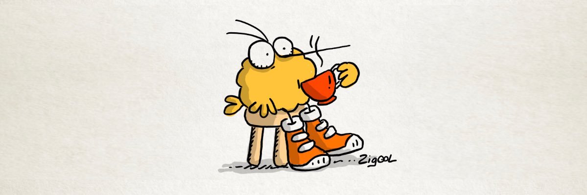 Zigool's profile banner image