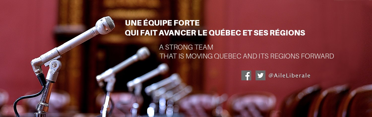 AileLiberale's profile banner image