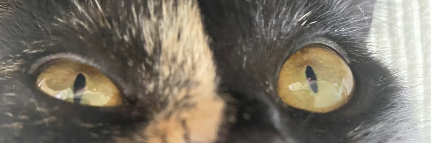 Leashmate's profile banner image