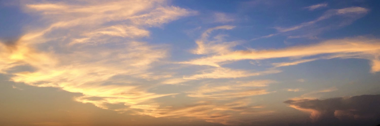murrihuggins's profile banner image