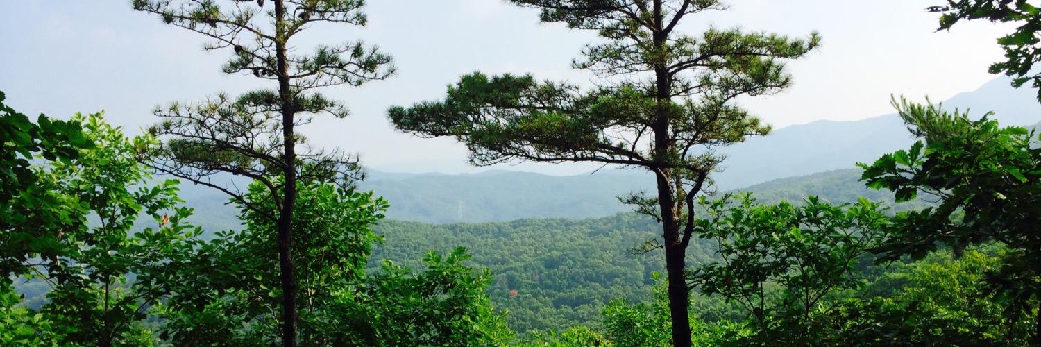dasom_kk's profile banner image