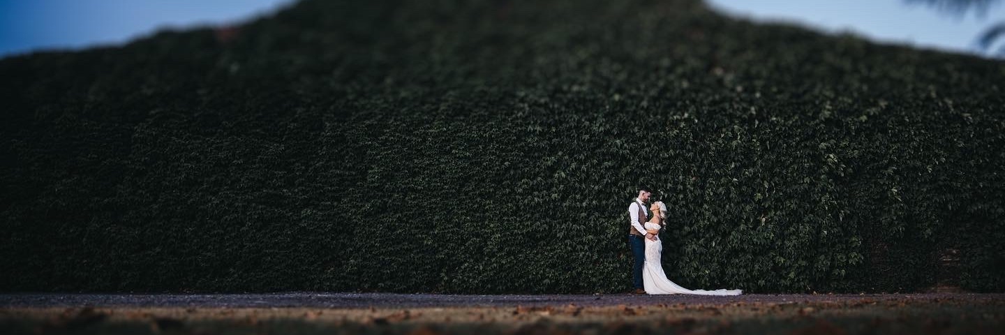 Pippa Robinson ✨ banner