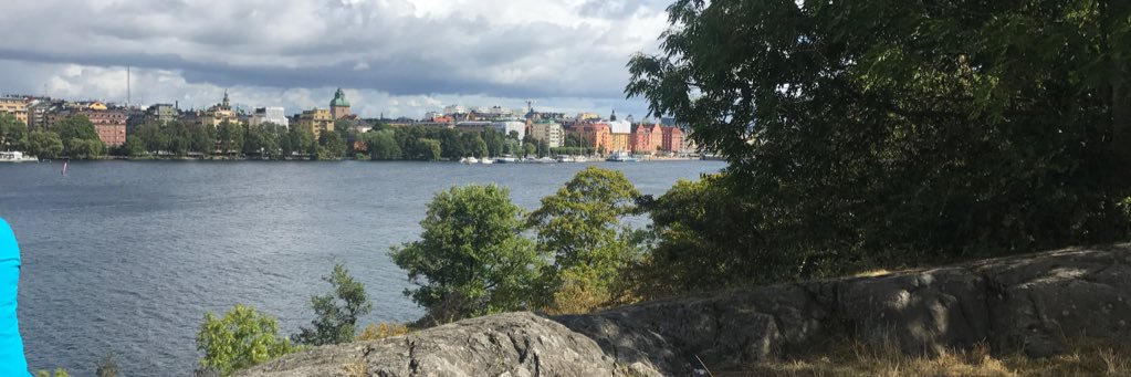enarsson's profile banner image
