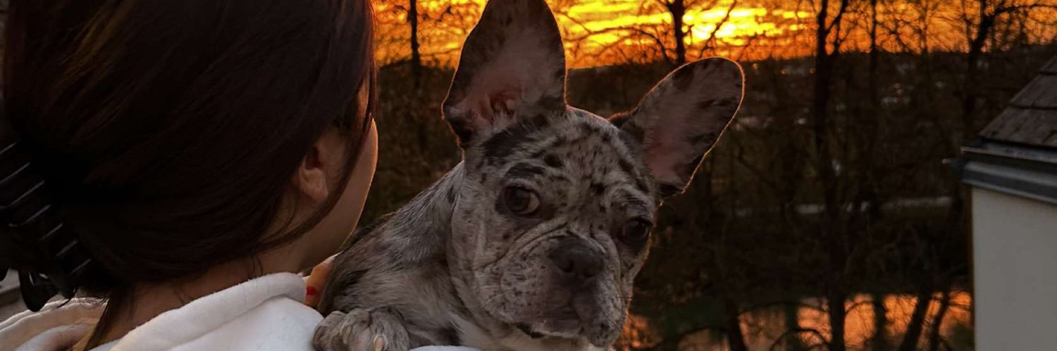 morgane_maury's profile banner image