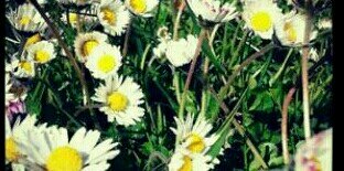 LeanneRyan8's profile banner image