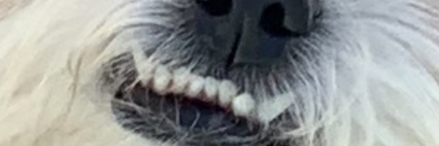 DLewisScott's profile banner image