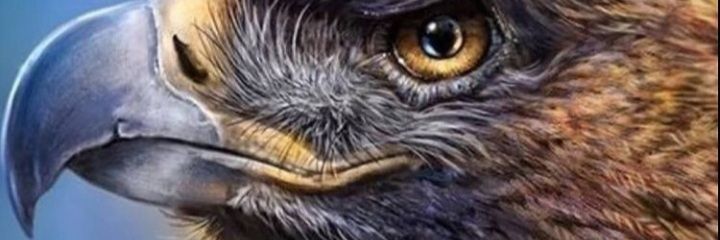 LyonBotan's profile banner image