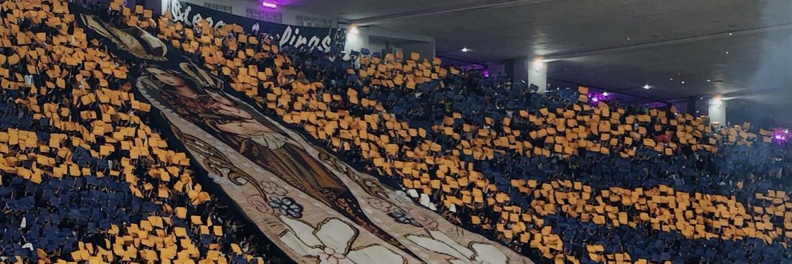 𝐛𝐢𝐚 𝐢𝐧 𝐫𝐢𝐨 banner