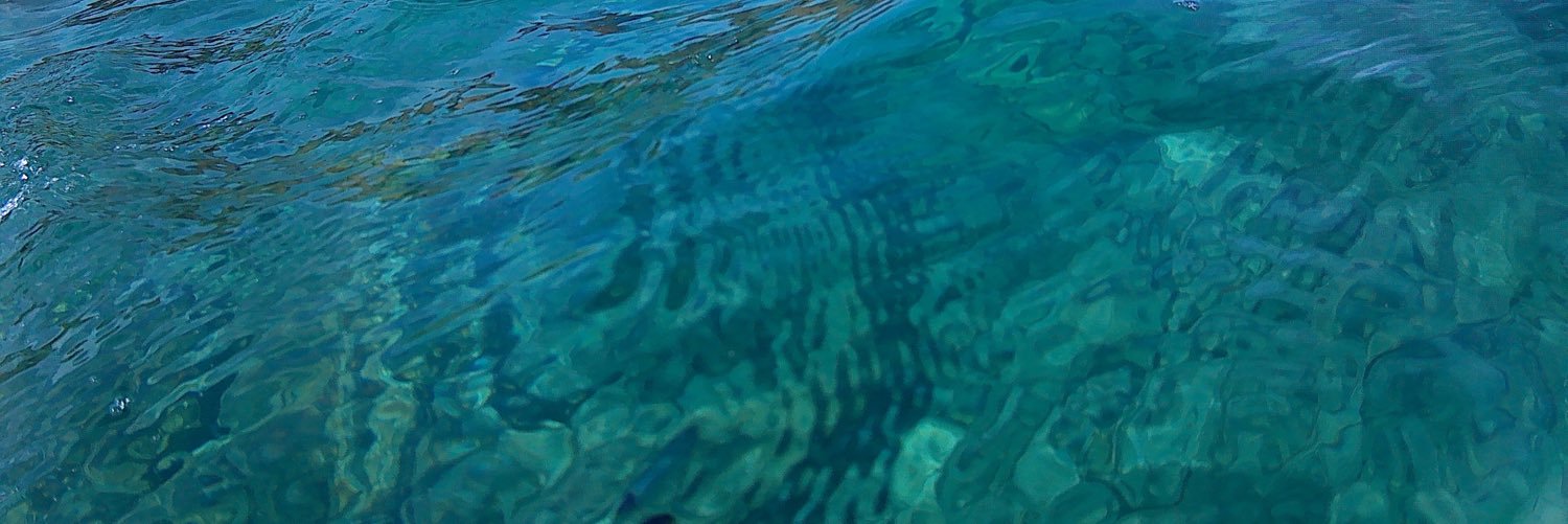 MCaupena's profile banner image