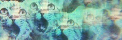 Shobotronic's profile banner image