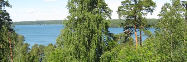 dbressoud Profile Banner