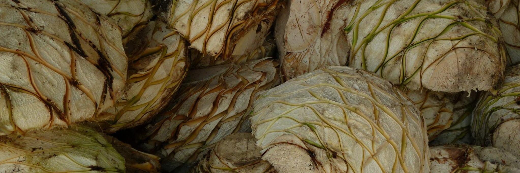 AleksLeRoy's profile banner image