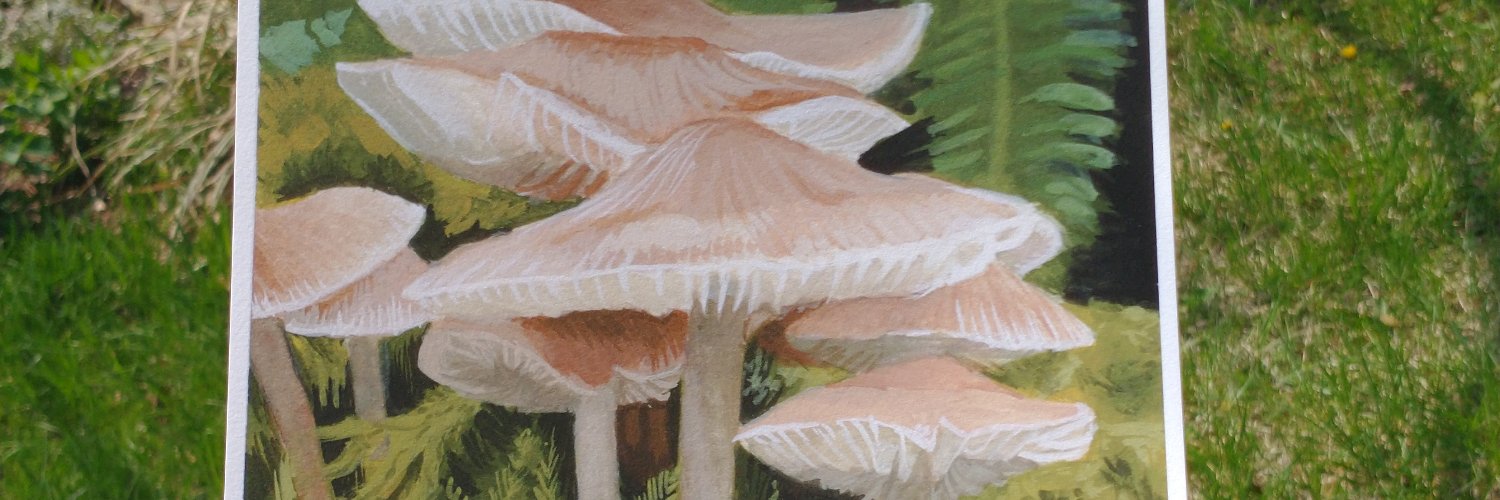 jacquihag's profile banner image