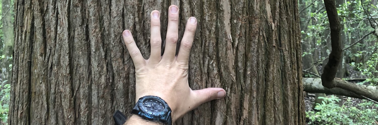 HelmsZ's profile banner image