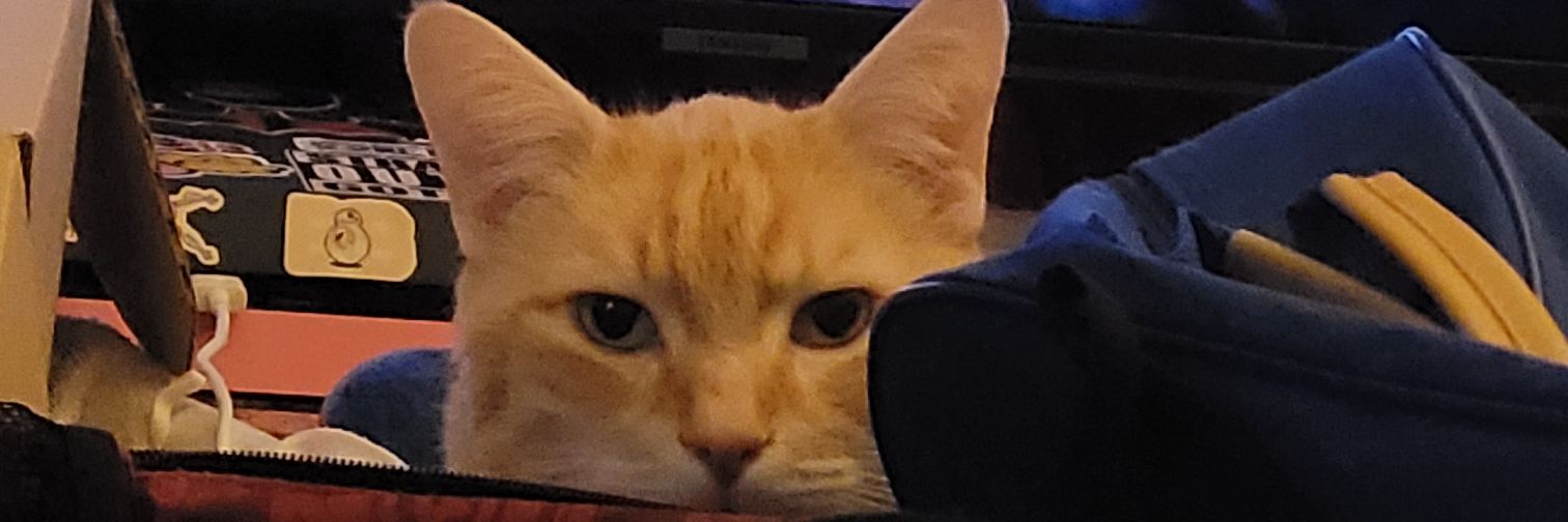 beautix2's profile banner image