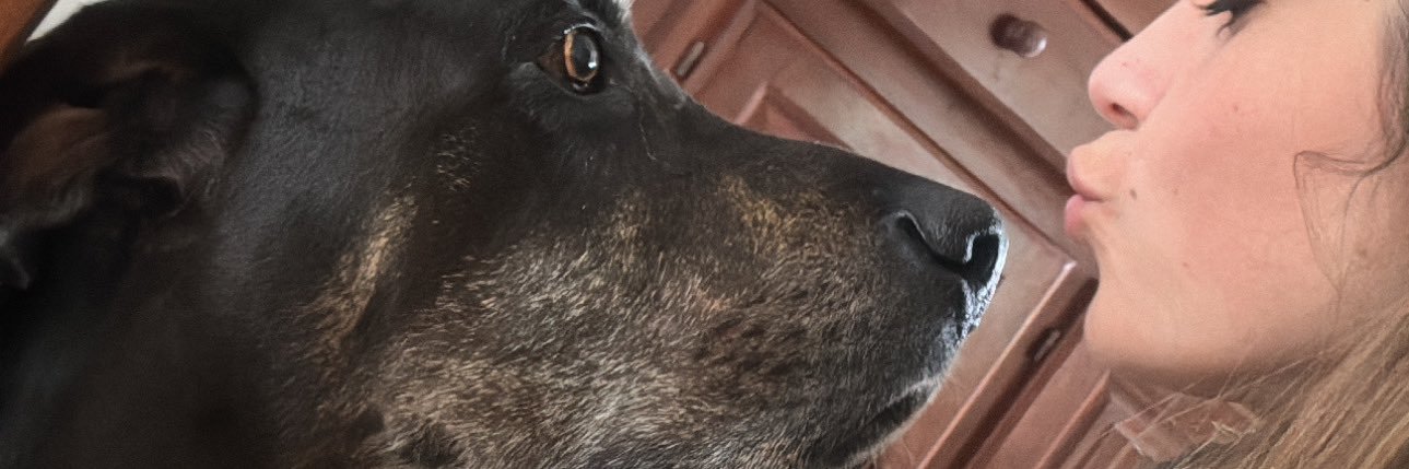 viscontimora's profile banner image
