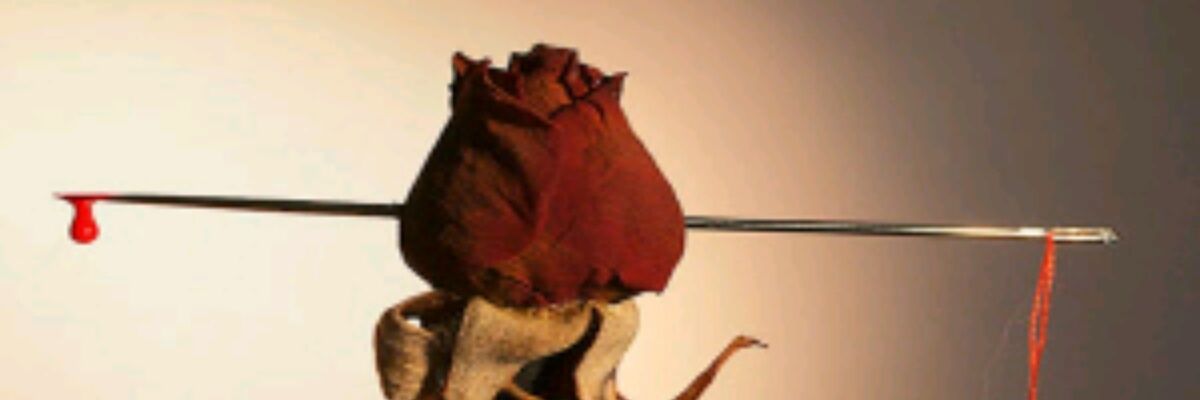 shwayat_aml's profile banner image