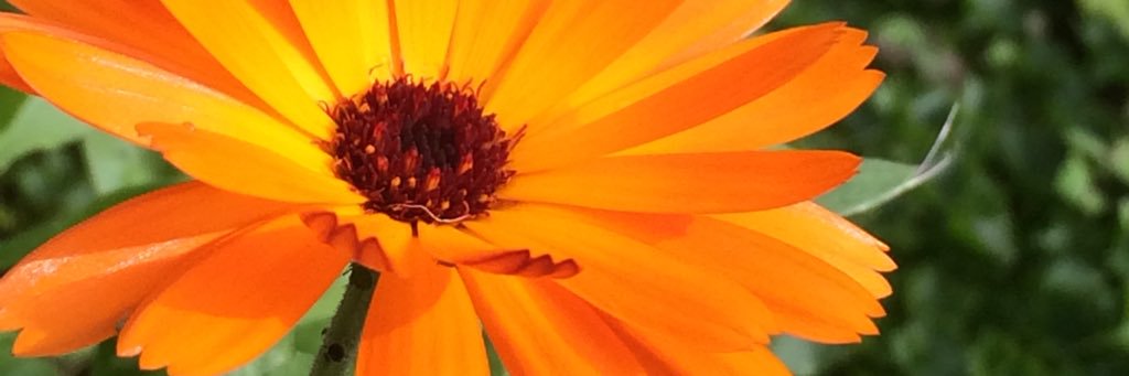 Young_Wilko's profile banner image